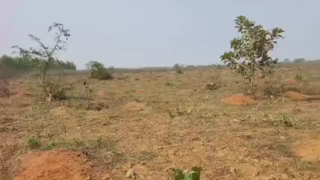 Agriculture Land For Sale At Raghavapur — photo 2