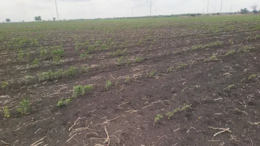 20 Acres Land Sale Near Dubbak