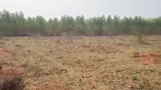 Agriculture Land For Sale At Raghavapur