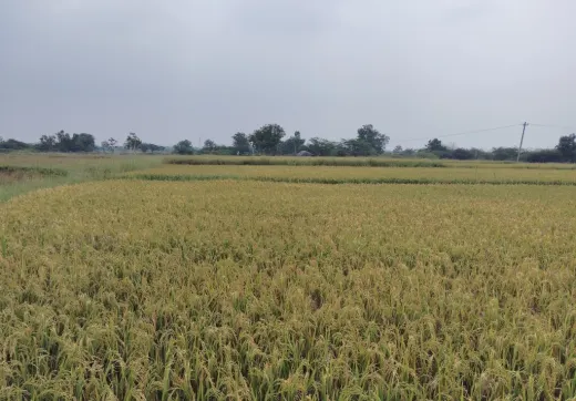 2 Acre